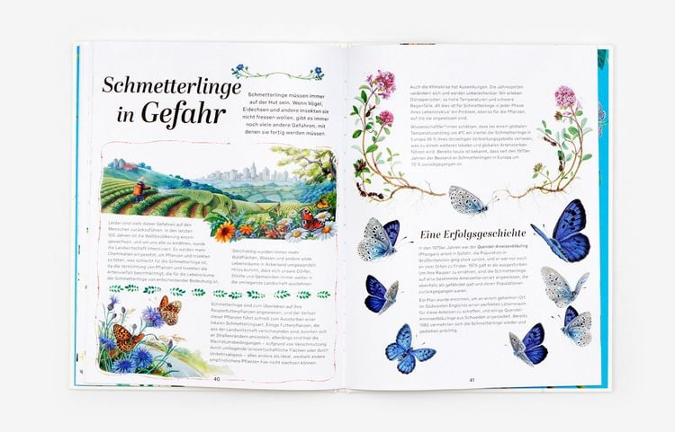 Produktbild: Schmetterlinge