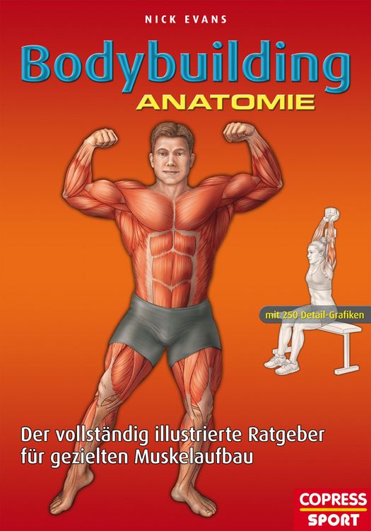 Produktbild: Bodybuilding Anatomie