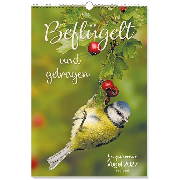 Produktbild: Befl&uuml;gelt und getragen 2027