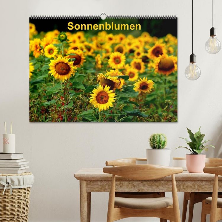 Produktbild: Sonnenblumen (Wandkalender 2027 DIN A2 quer), CALVENDO Monatskalender
