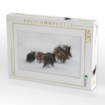 Produktbild: CALVENDO Puzzle Ein Motiv aus dem Kalender Emotionale Momente: Das Wildschwein. / CH-Version | 1000 Teile Lege-Gr&ouml;&szlig;e 64x48cm Foto-Puzzle f&uuml;r gl&uuml;ckliche Stunden