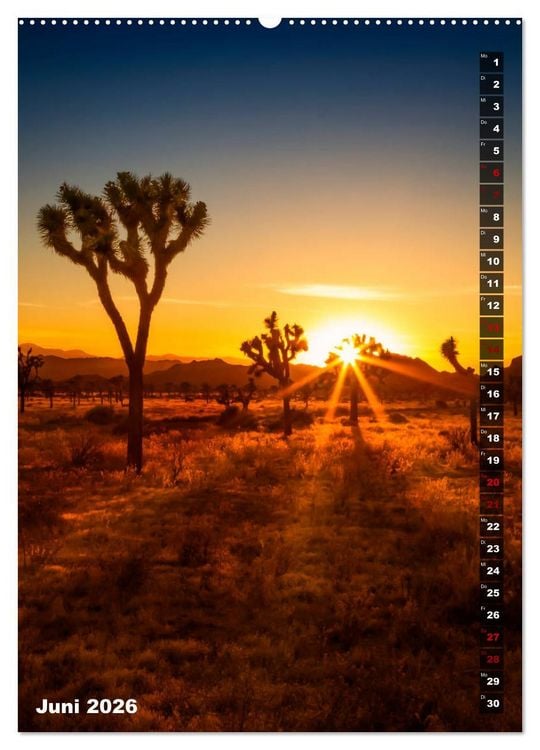 Produktbild: Impressionen aus dem JOSHUA TREE NATIONAL PARK (Wandkalender 2026 DIN A2 hoch), CALVENDO Monatskalender