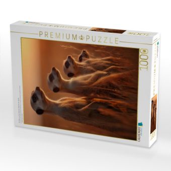 Produktbild: CALVENDO Puzzle Ein Motiv aus dem Kalender W&auml;chter der W&uuml;ste | 1000 Teile Lege-Gr&ouml;&szlig;e 64x48cm Foto-Puzzle f&uuml;r gl&uuml;ckliche Stunden