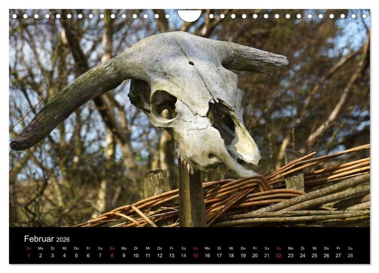 Produktbild: D&auml;nemark - Umgebung von Hvide Sande (Wandkalender 2026 DIN A4 quer), CALVENDO Monatskalender