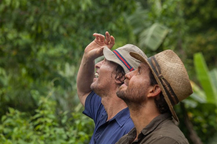 Produktbild: Gold - Gier hat eine neue Farbe