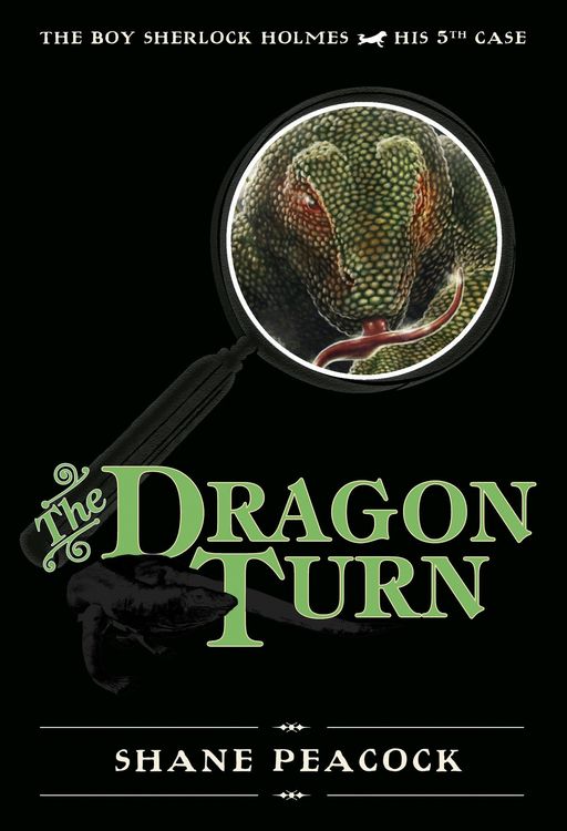 Produktbild: The Dragon Turn