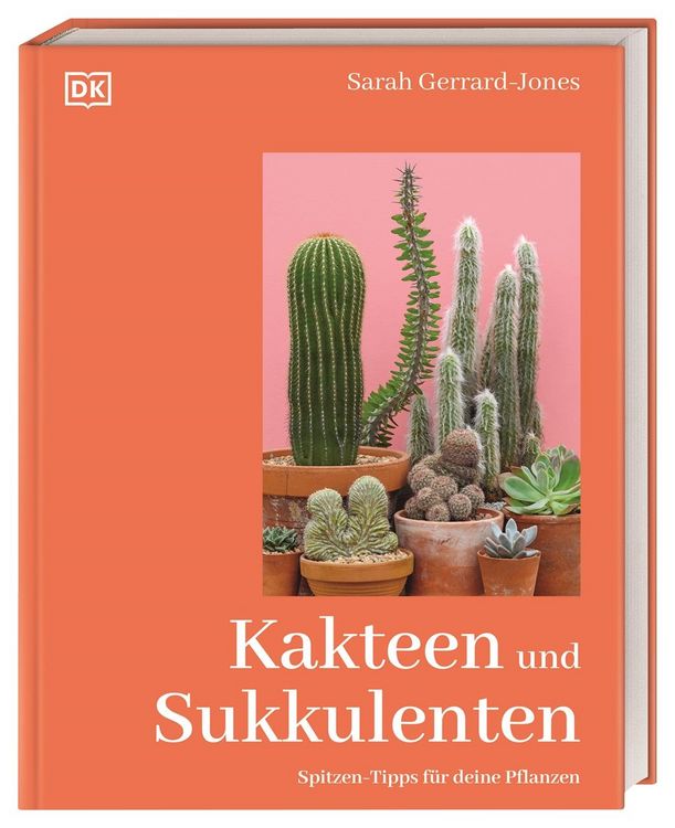 Produktbild: Kakteen und Sukkulenten