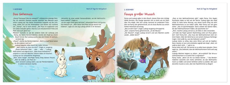 Produktbild: Fanny sucht den Weihnachtsmann