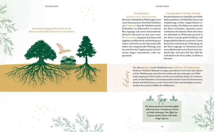 Produktbild: Zaubernuss und Waldmagie – Naturmomente für deine Seele