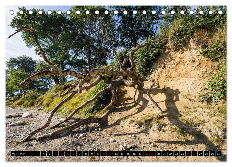 Produktbild: Insel Fehmarn - Impressionen eines Sommertages an der Ostsee (Tischkalender 2026 DIN A5 quer), CALVENDO Monatskalender