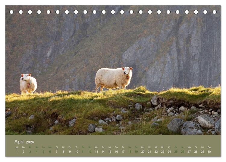 Produktbild: Unter Schafen - Wegbegleiter auf Reisen (Tischkalender 2026 DIN A5 quer), CALVENDO Monatskalender