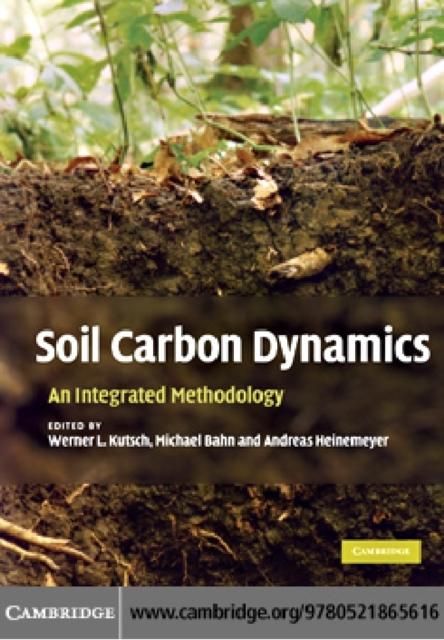 Produktbild: Soil Carbon Dynamics