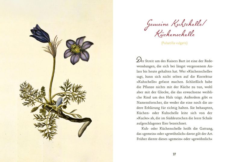 Produktbild: Eifeler Bl&uuml;ten-Lese
