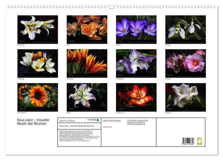 Produktbild: Soul-Jazz - Visuelle Musik der Blumen (Wandkalender 2026 DIN A2 quer), CALVENDO Monatskalender