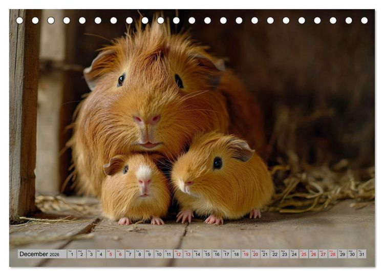 Produktbild: Guinea Pigs with Happy Squeal (Desk Calendar 2026 DIN A5 landscape), CALVENDO 12 Month DeskCalendar