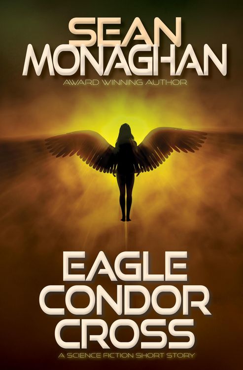 Produktbild: Eagle Condor Cross