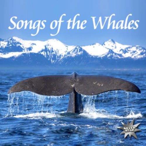 Produktbild: Songs Of The Whales
