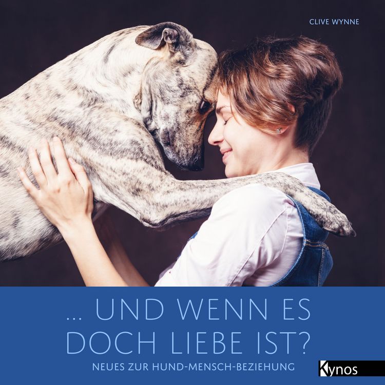 Produktbild: ... und wenn es doch Liebe ist?