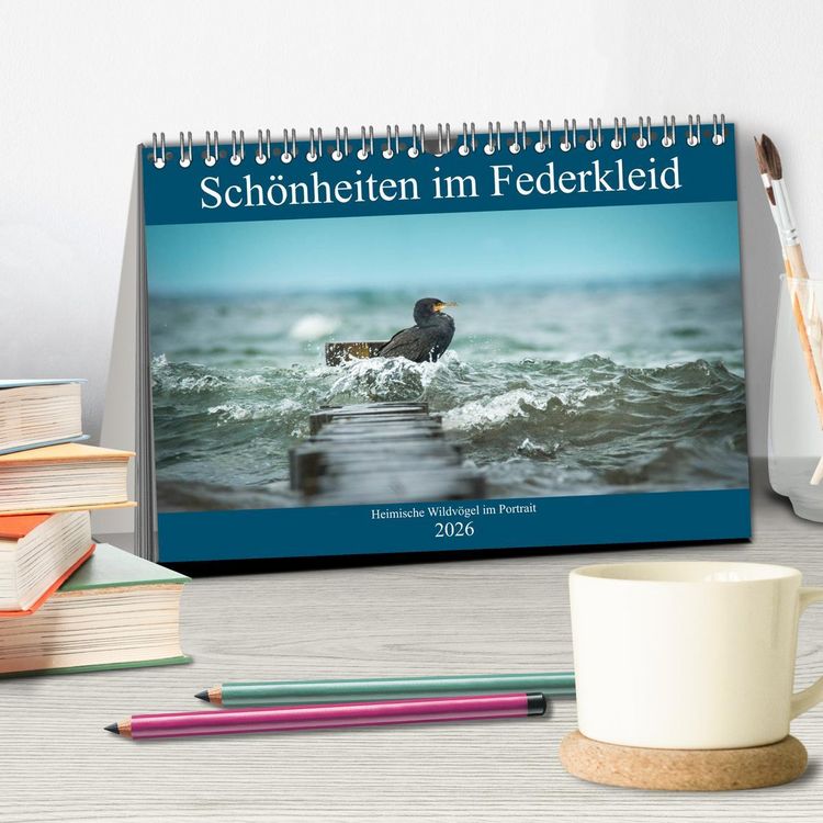 Produktbild: Sch&ouml;nheiten im Federkleid - Heimische Wildv&ouml;gel im Portrait (Tischkalender 2026 DIN A5 quer), CALVENDO Monatskalender