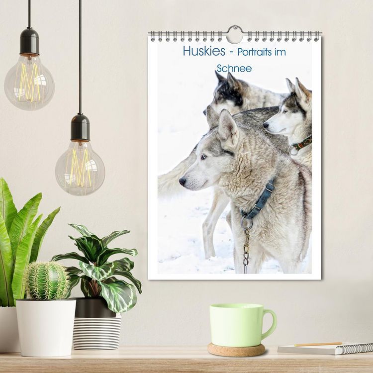 Produktbild: Huskies - Portraits im Schnee (Wandkalender 2026 DIN A4 hoch), CALVENDO Monatskalender