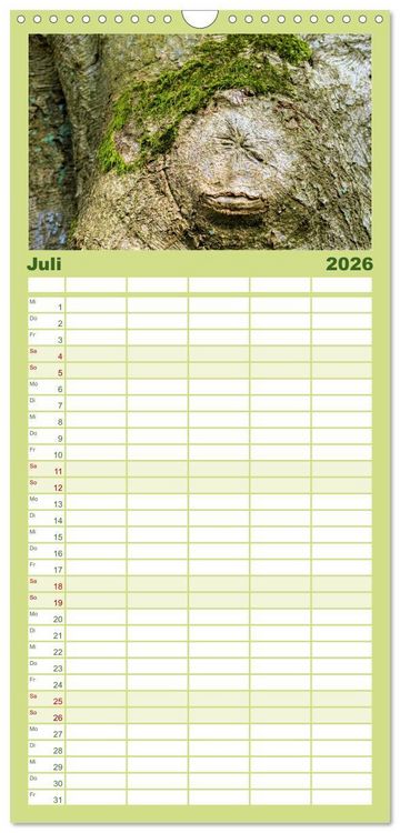 Produktbild: Familienplaner 2026 - Waldd&auml;monen mit 5 Spalten (Wandkalender, 21 x 45 cm) CALVENDO