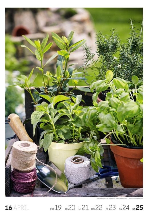 Produktbild: Garten Wochenkalender 2027