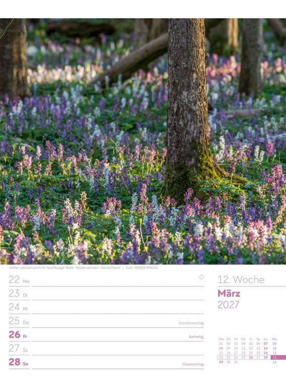Produktbild: Unser Wald Wochenplaner Kalender 2027