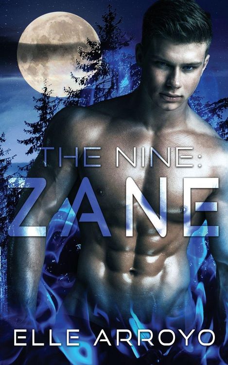 Produktbild: The Nine