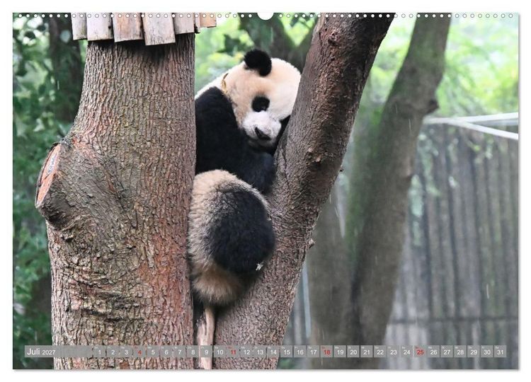 Produktbild: Erlebnis China (hochwertiger Premium Wandkalender 2027 DIN A2 quer), Kunstdruck in Hochglanz