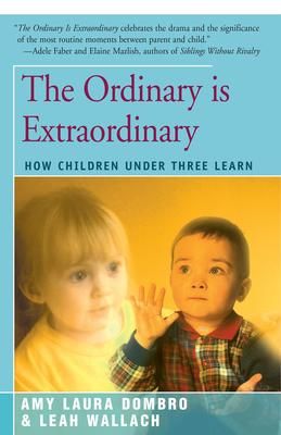 Produktbild: The Ordinary is Extraordinary