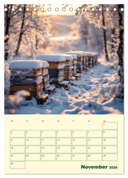 Produktbild: Bienenblick &ndash; Ein Jahr mit den Bienen (Tischkalender 2026 DIN A5 hoch), CALVENDO Monatskalender