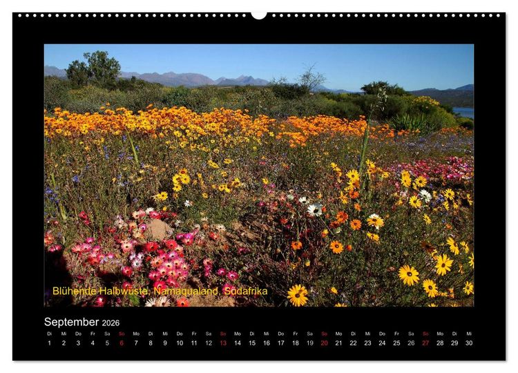 Produktbild: AFRIKA im S&uuml;den (Wandkalender 2026 DIN A2 quer), CALVENDO Monatskalender