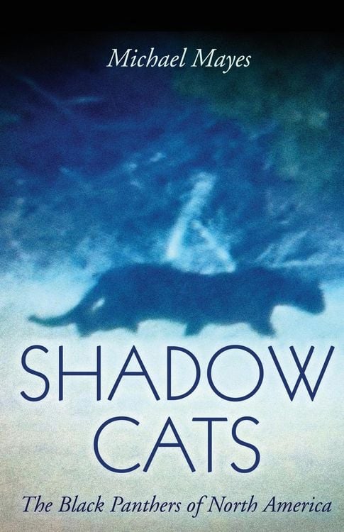 Produktbild: Shadow Cats