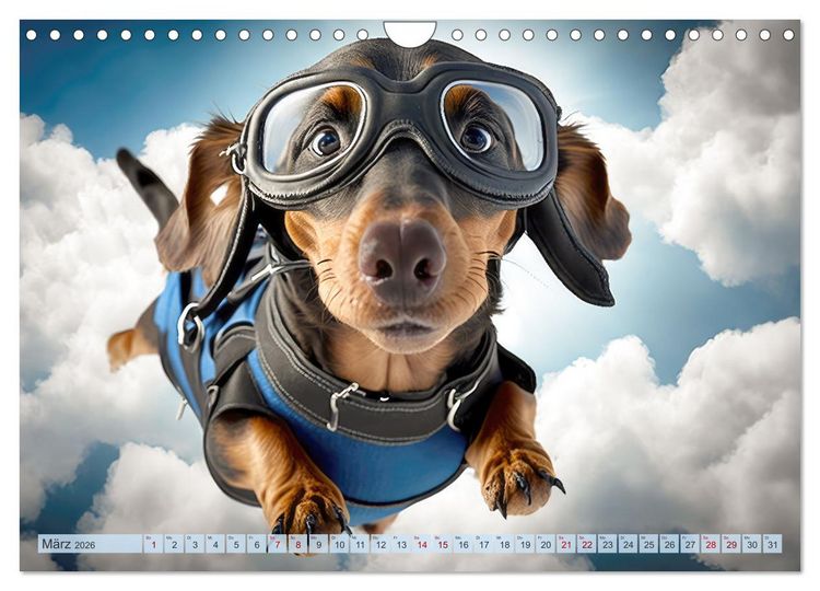 Produktbild: Hunde Skydiving (Wandkalender 2026 DIN A4 quer), CALVENDO Monatskalender
