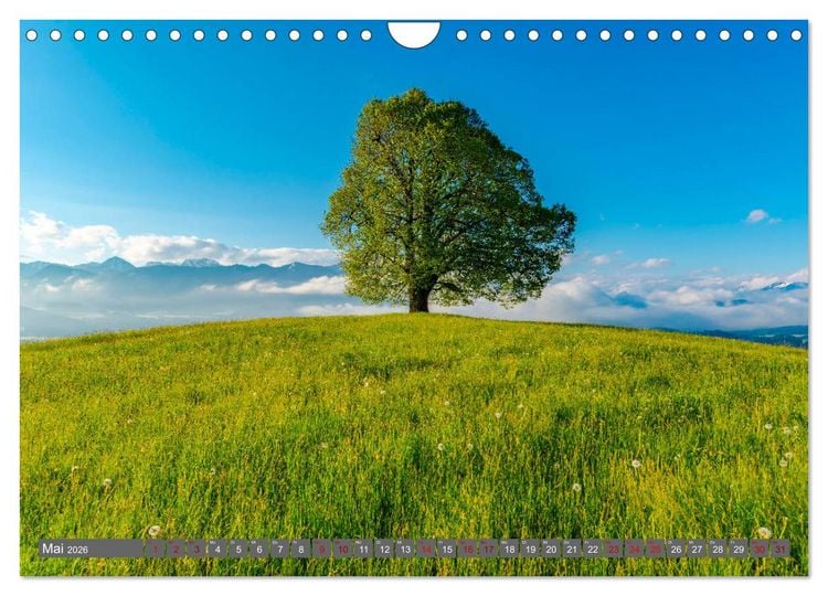 Produktbild: Faszination Oberallg&auml;u (Wandkalender 2026 DIN A4 quer), CALVENDO Monatskalender