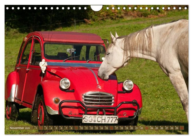 Produktbild: Citro&euml;n 2CV - Ente rot (Wandkalender 2025 DIN A4 quer), CALVENDO Monatskalender