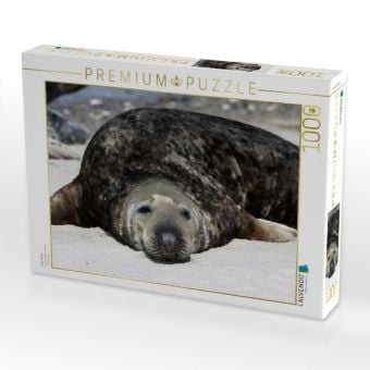 Produktbild: CALVENDO Puzzle Kegelrobbe | 1000 Teile Lege-Gr&ouml;&szlig;e 64x48cm Foto-Puzzle f&uuml;r gl&uuml;ckliche Stunden