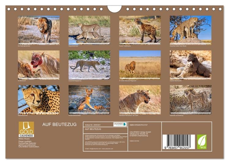 Produktbild: AUF BEUTEZUG (Wandkalender 2026 DIN A4 quer), CALVENDO Monatskalender