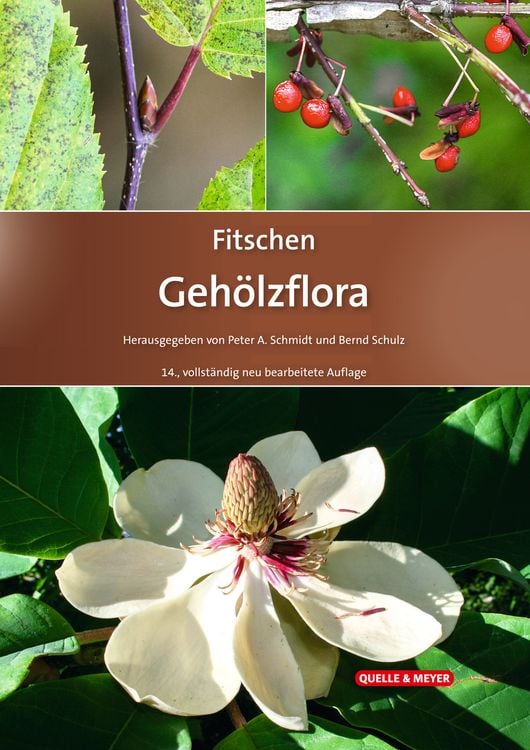 Bild vom Artikel Fitschen – Gehölzflora vom Autor Peter A. Schmidt