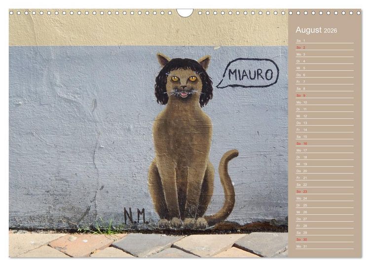 Produktbild: Flensburger Katzen (Wandkalender 2026 DIN A3 quer), CALVENDO Monatskalender
