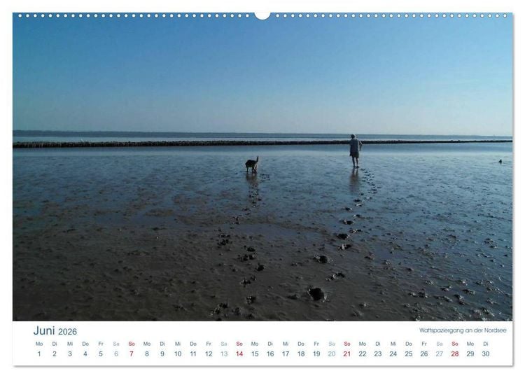 Produktbild: Ebbe und Watt 2026. Impressionen von der Nordseek&uuml;ste (Wandkalender 2026 DIN A2 quer), CALVENDO Monatskalender