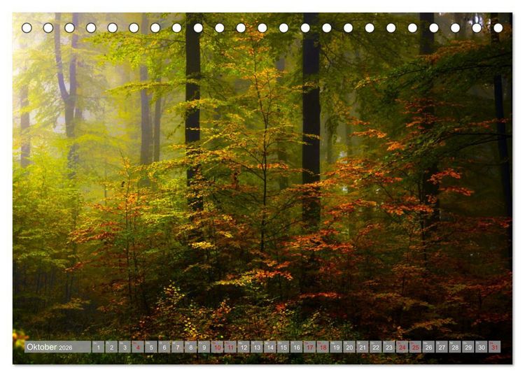 Produktbild: Wundersch&ouml;ne schw&auml;bische Alb (Tischkalender 2026 DIN A5 quer), CALVENDO Monatskalender