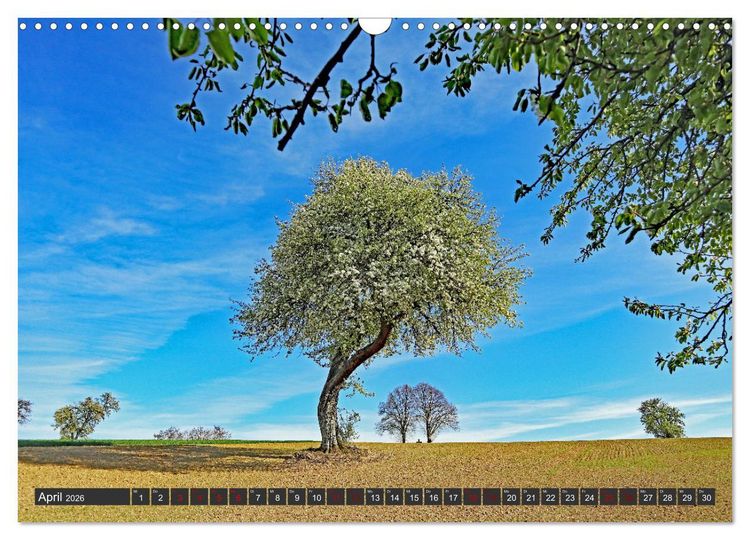 Produktbild: Karlsruhes Osten (Wandkalender 2026 DIN A3 quer), CALVENDO Monatskalender