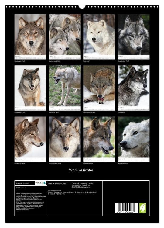 Produktbild: Wolf-Gesichter (hochwertiger Premium Wandkalender 2026 DIN A2 hoch), Kunstdruck in Hochglanz