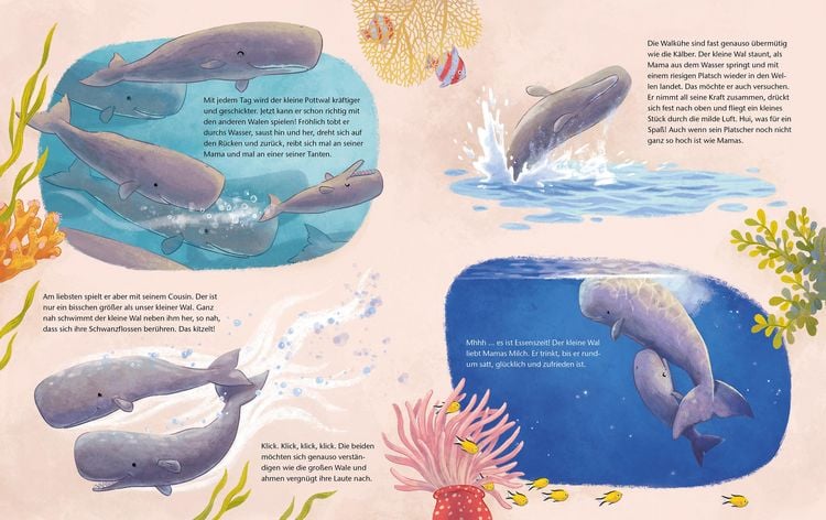 Produktbild: Der kleine Wal - Zu Hause im Ozean