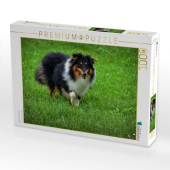 Produktbild: CALVENDO Puzzle Langhaar Collie tricolor | 1000 Teile Lege-Gr&ouml;&szlig;e 64x48cm Foto-Puzzle f&uuml;r gl&uuml;ckliche Stunden