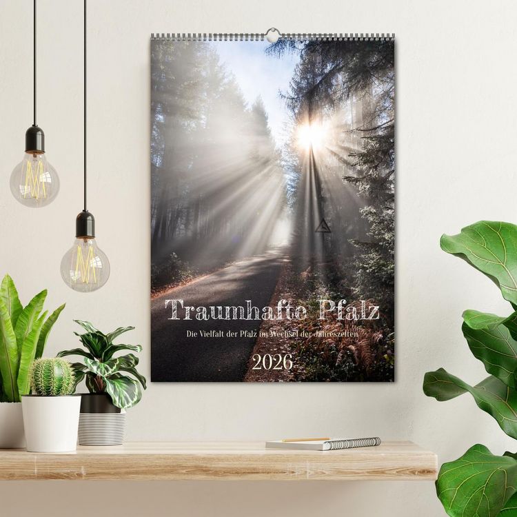 Produktbild: Traumhafte Pfalz (Wandkalender 2026 DIN A2 hoch), CALVENDO Monatskalender
