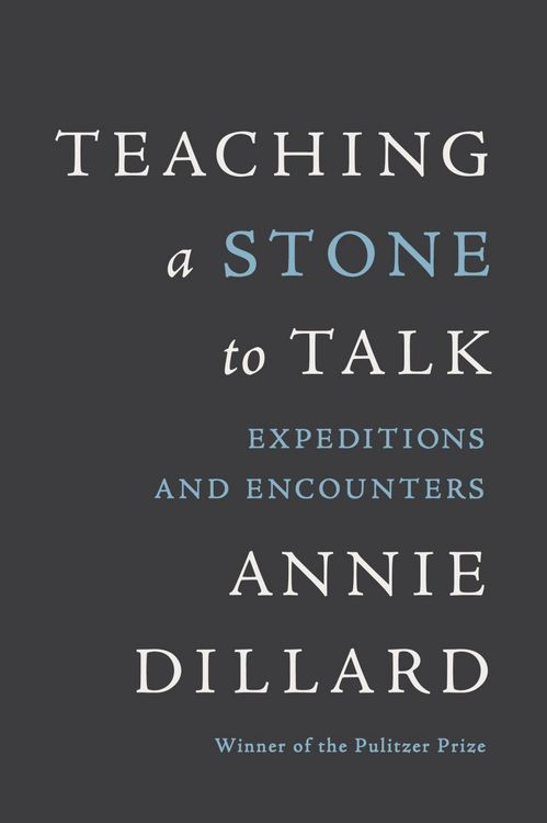 Produktbild: Teaching a Stone to Talk