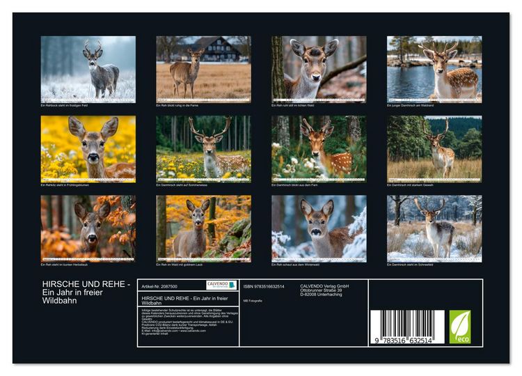 Produktbild: HIRSCHE UND REHE - Ein Jahr in freier Wildbahn (Wandkalender 2026 DIN A4 quer), CALVENDO Monatskalender
