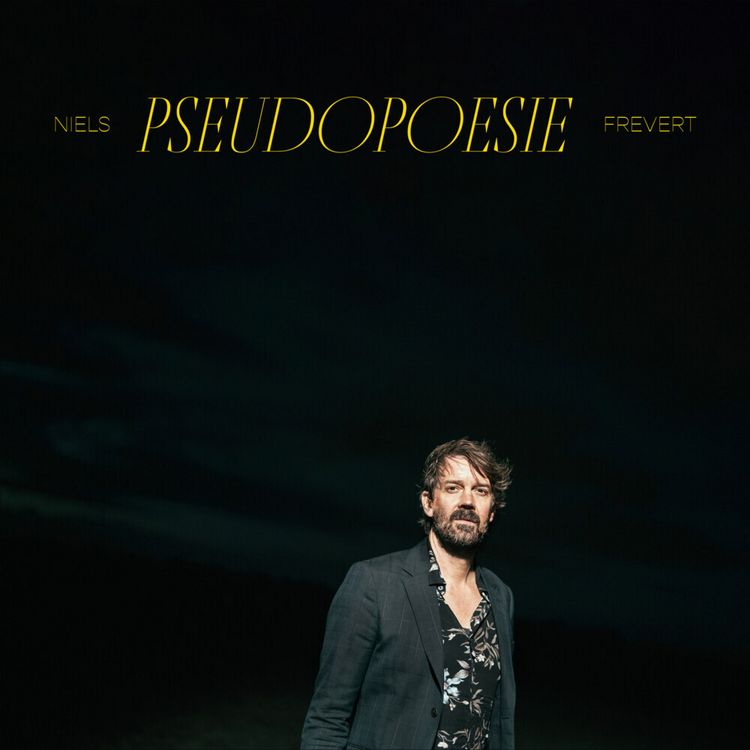 Produktbild: Pseudopoesie